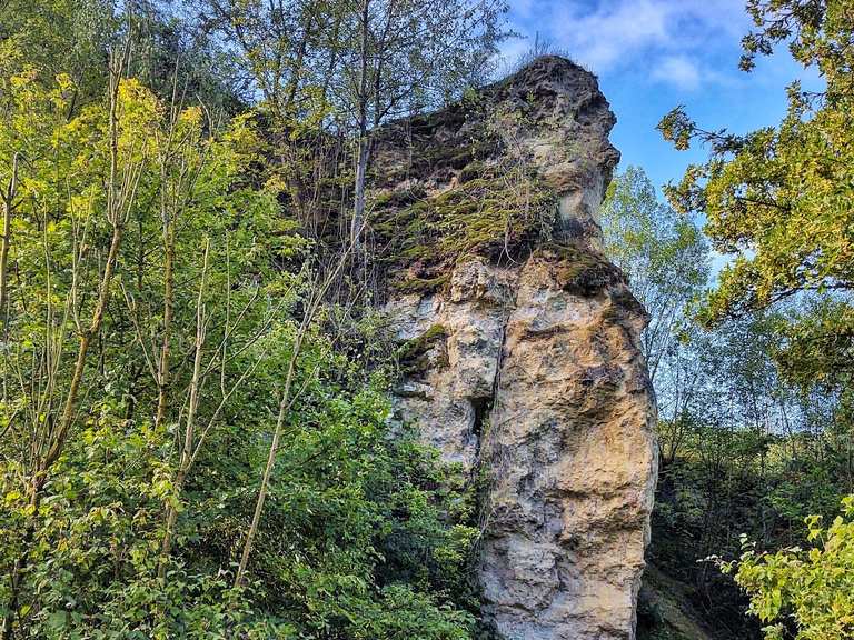 Der Doberg in den Jahreszeiten Wanderungen und Rundwege komoot