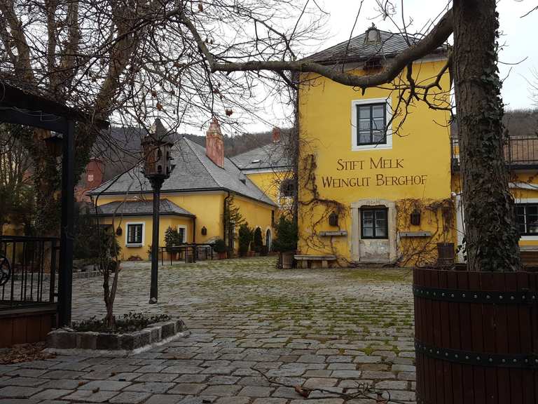 Gumpoldskirchen Wanderungen und Rundwege komoot