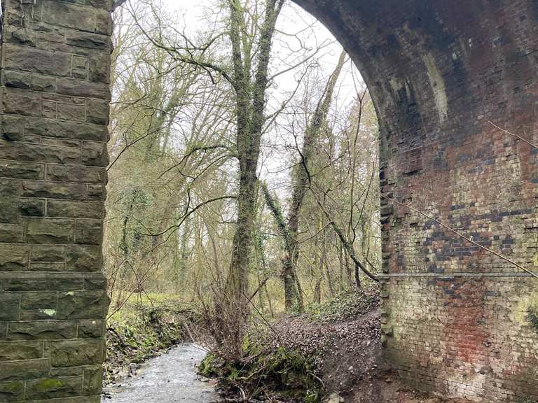 Grace Dieu woods Grace Dieu Viaduct loop from Whitwick hike Komoot