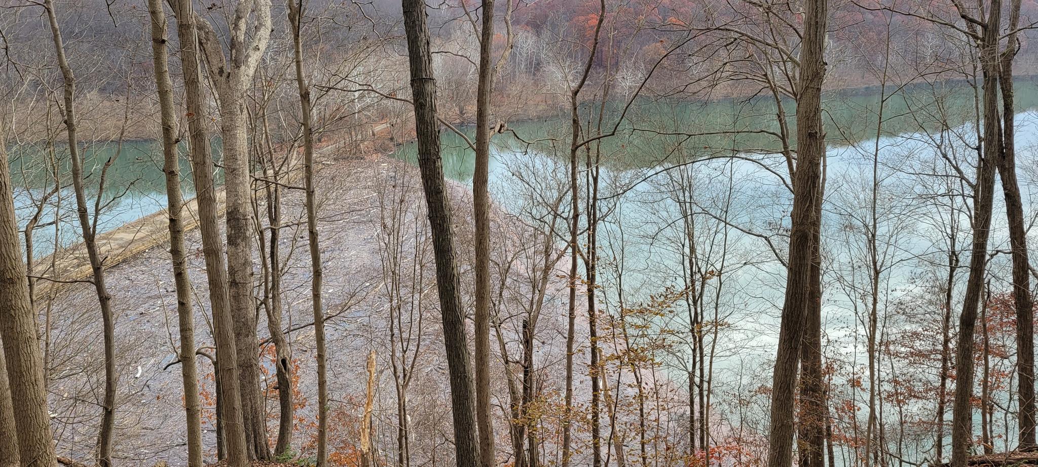 Bare trees frame a wide, winding river with an island on a cloudy day.