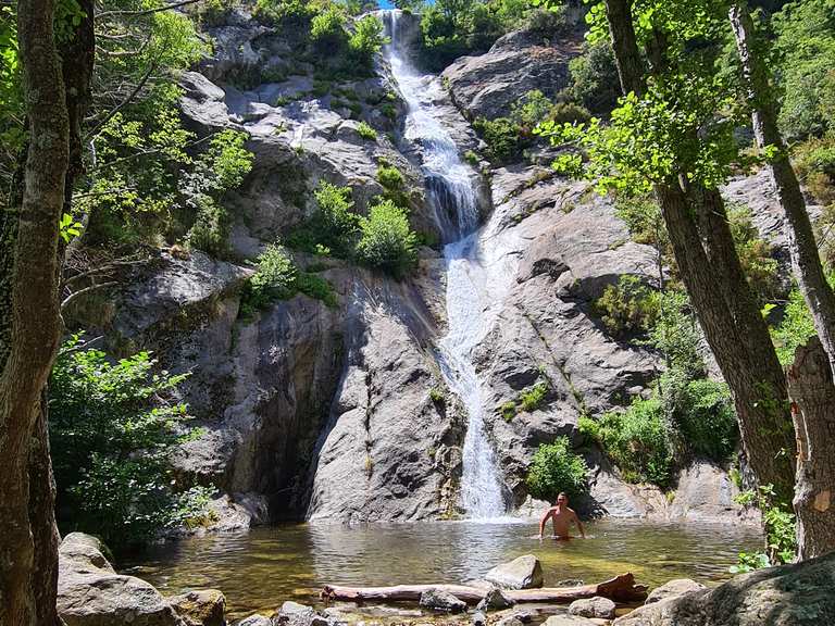 1474DL Tenaza Con Bocas Largas Para Tapones De Bujías, Con