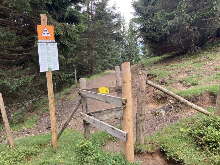 Alpe Obere Reuterwanne – Aussicht auf den Grüntensee Runde von Wertach ...