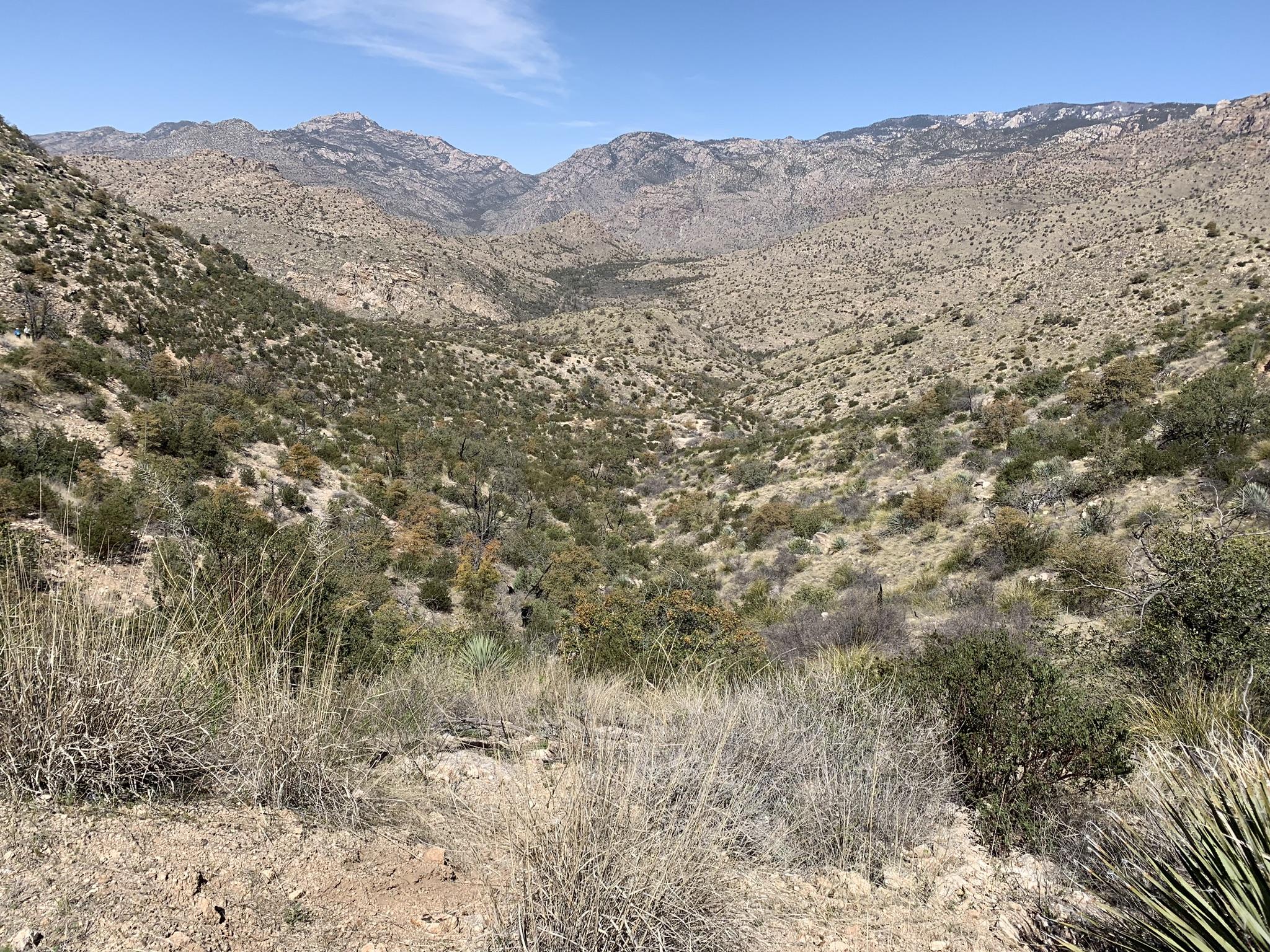 A wide view of a dry, brushy canyon with distant mountains under a blue sky.