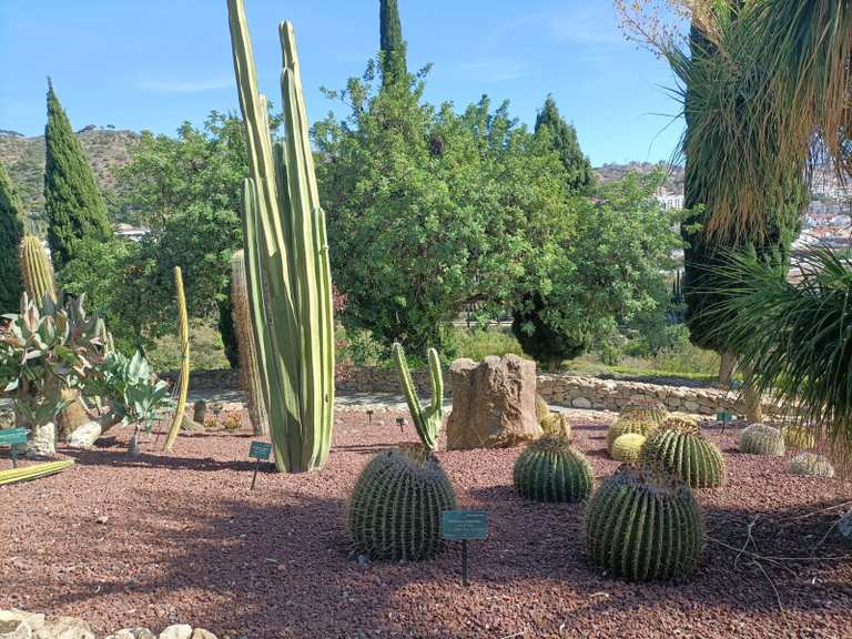 Botanischer Garten von Malaga Aussichtspunkt auf Malaga Runde von San