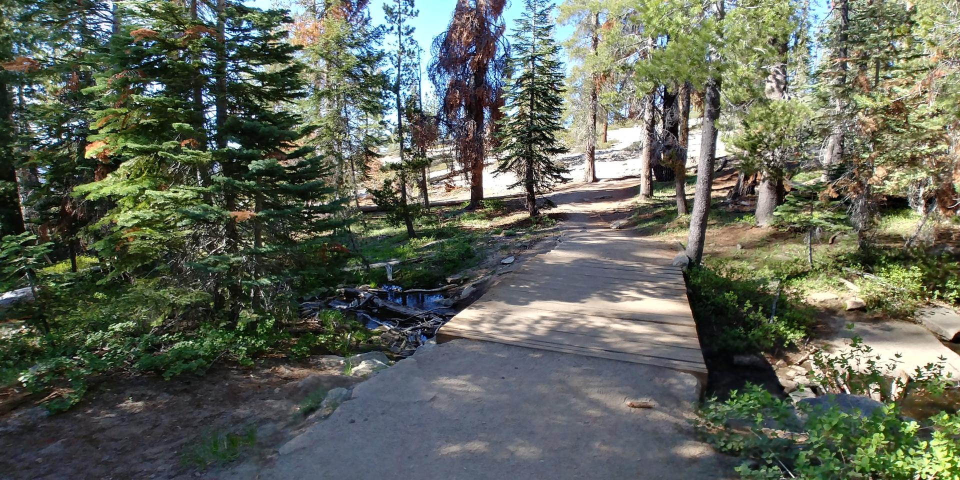 A wooden bridge crosses a small stream in a sun-dappled forest.
