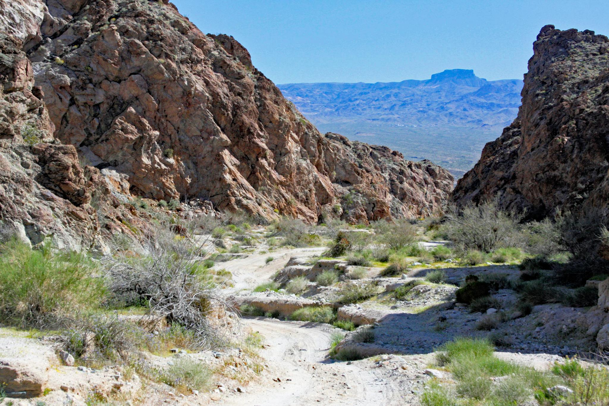 A winding dirt path through a sunlit, rocky desert canyon with sparse vegetation.
