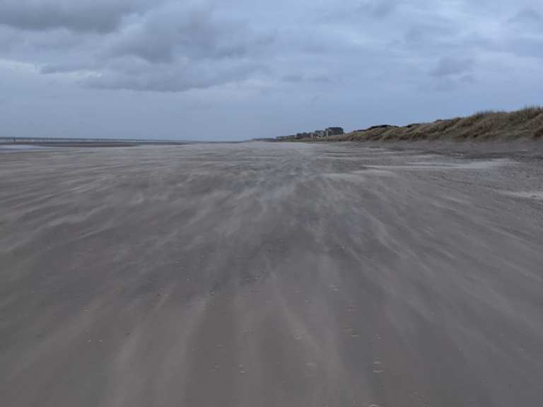 Calmeynbos-krakeelduinen – Grenspad Loop From De Panne 