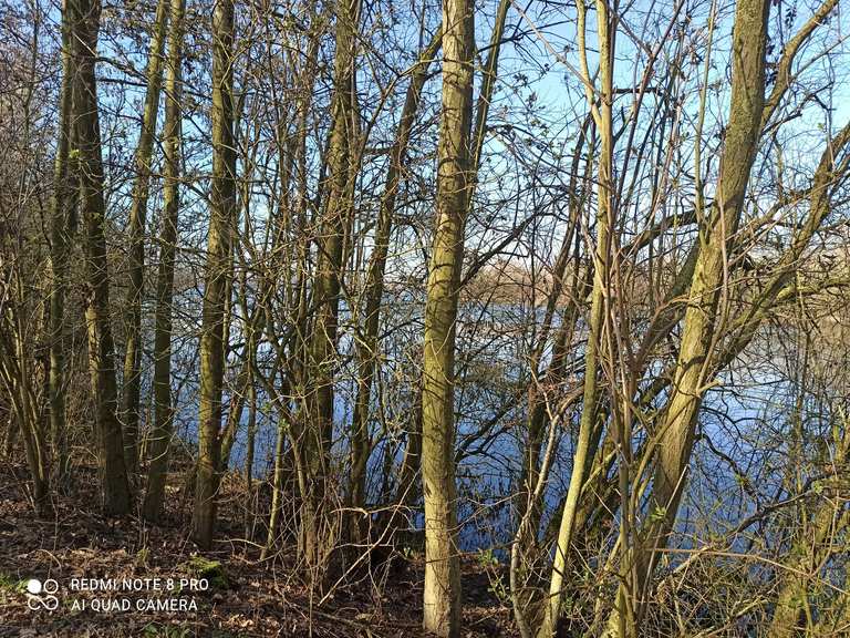 Lac du héron Lac du Héron Circuit à partir de ForestsurMarque