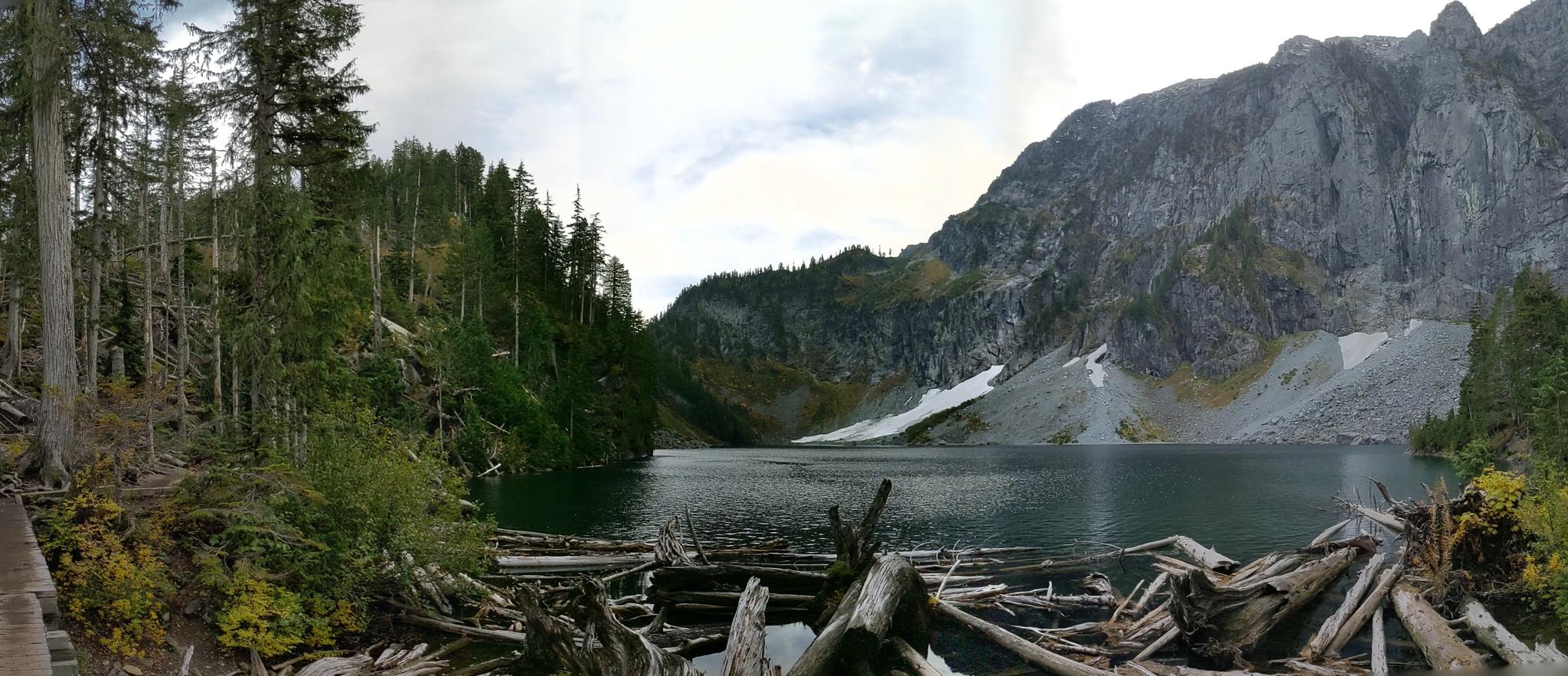 Dark mountain lake with driftwood, surrounded by forests and rocky peaks.
