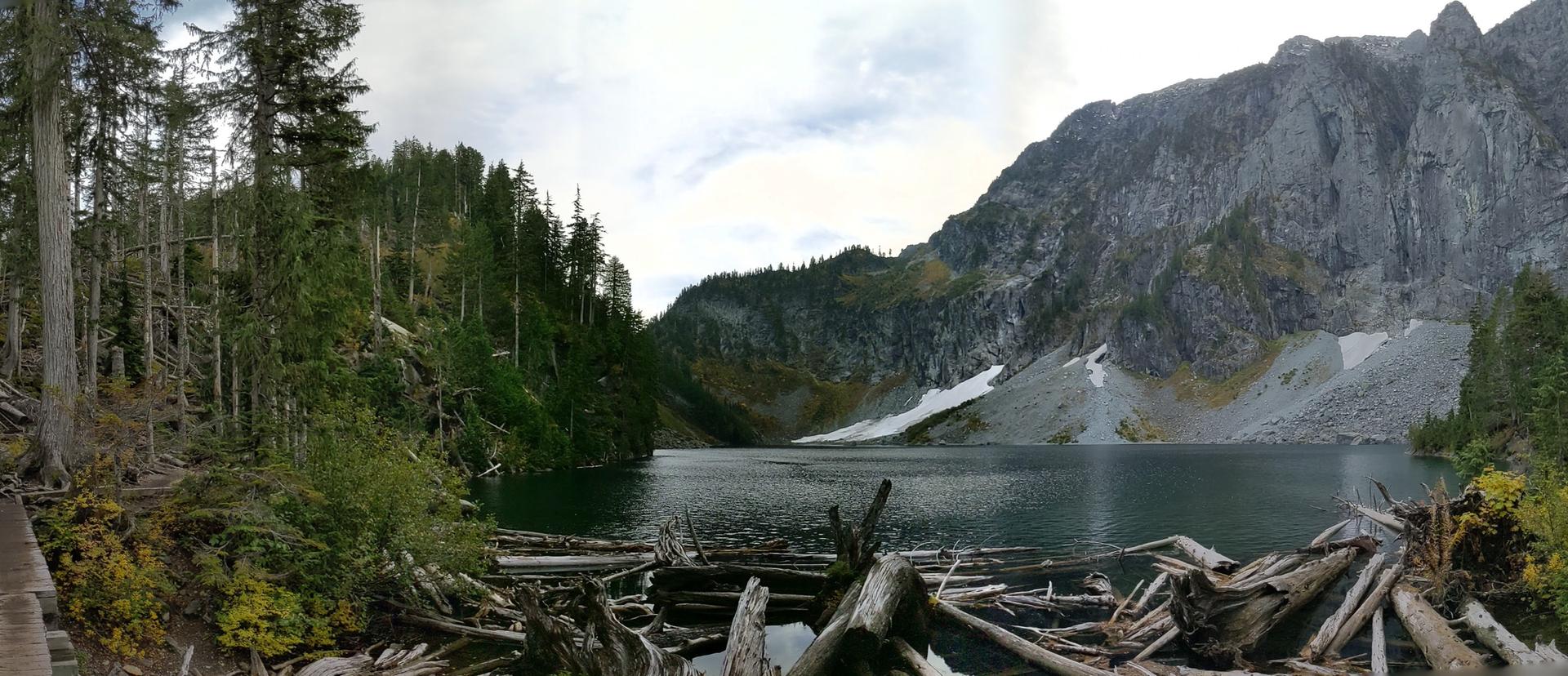 Dark mountain lake with driftwood, surrounded by forests and rocky peaks.