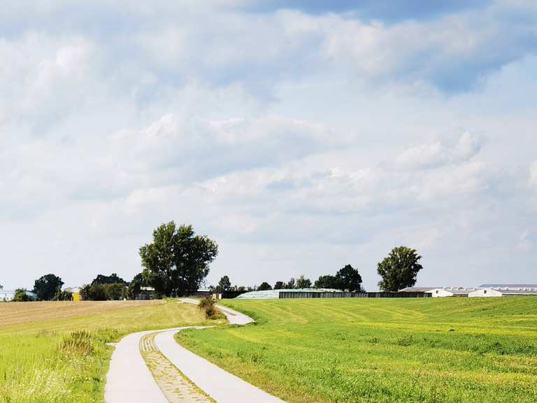 Plattenwegstrecke gut zu befahren bei greifenhain road cycle routes and