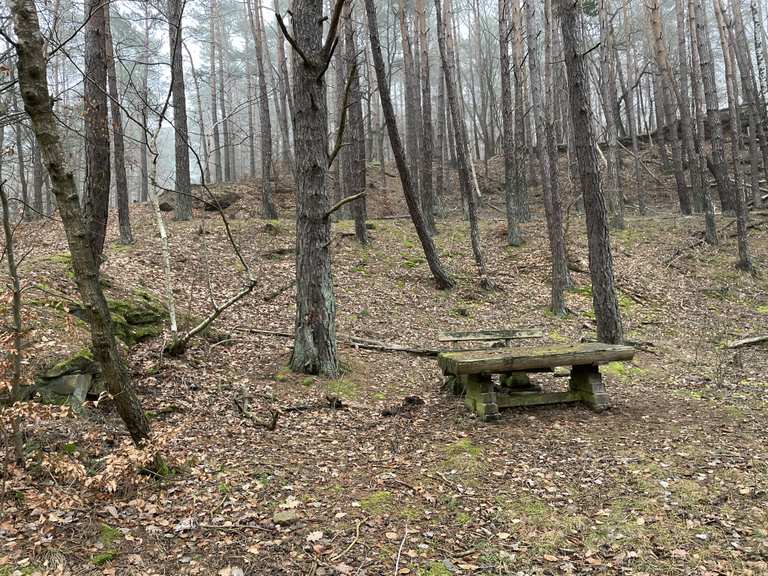Aire de pique-nique dans la Forêt du Palatinat – Itinéraires randonnée ...