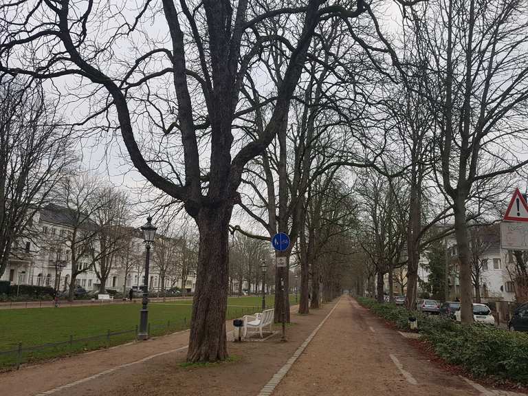 Poppelsdorfer Allee Wanderungen und Rundwege komoot