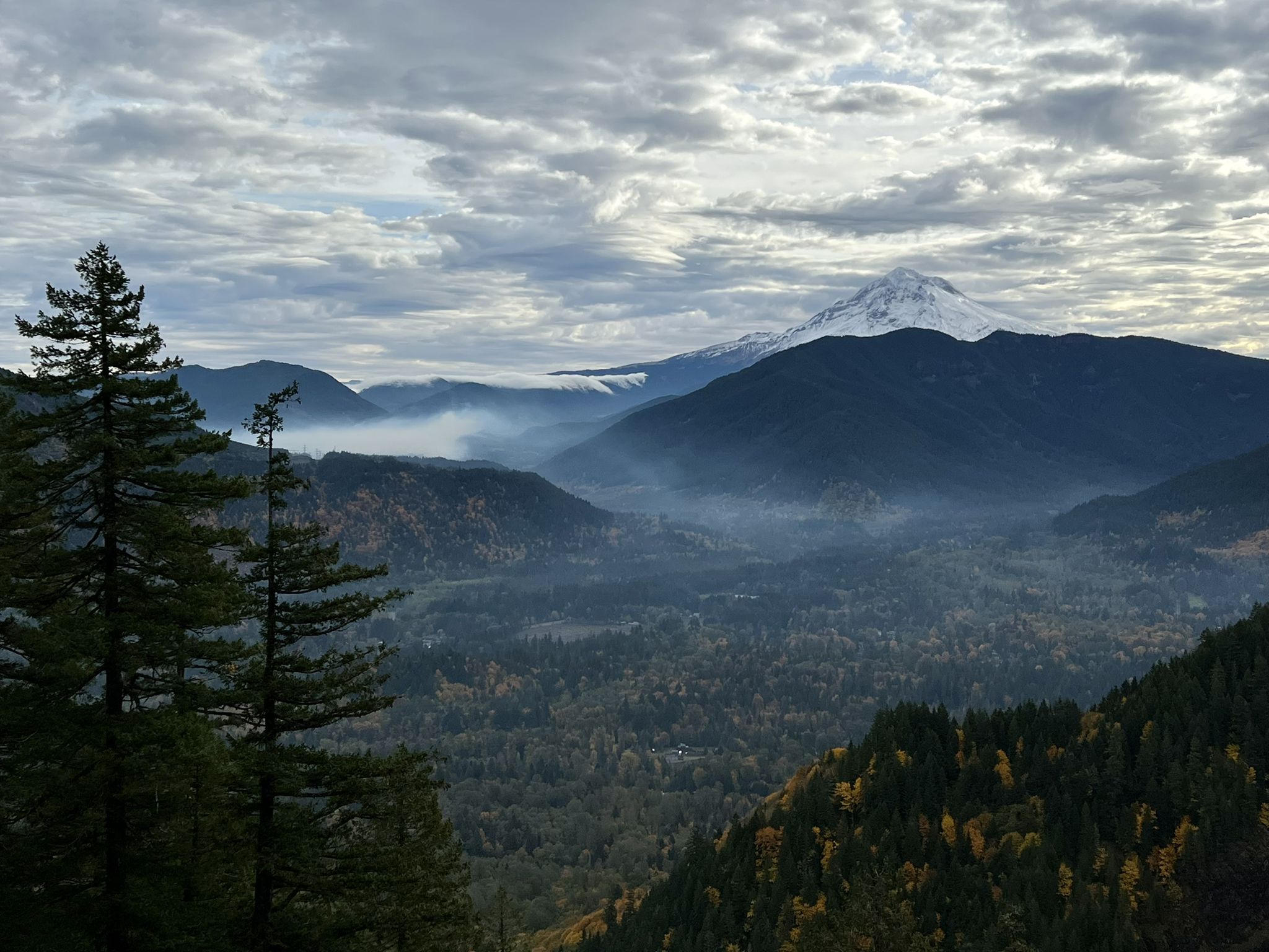 A snow-capped mountain rises above a misty, forested valley under clouds. - Huckleberry Mountain via Boulder Ridge Trail