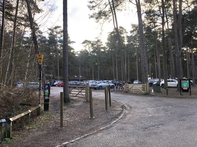 Swinley Bike Hub Mountain Bike Trails & Tracks Komoot