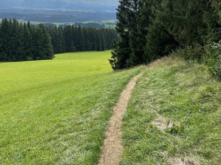 Steiler Singletrail Marktoberdorfer Skihütte - Buffernadel ...