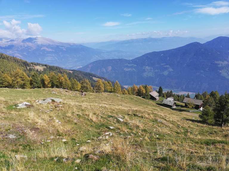 Radlberger Alm - Mountain Bike Trails & Tracks | Komoot