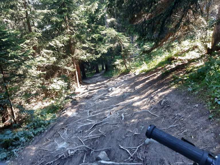 Green Trail Mountain Bike Trails & Tracks Komoot