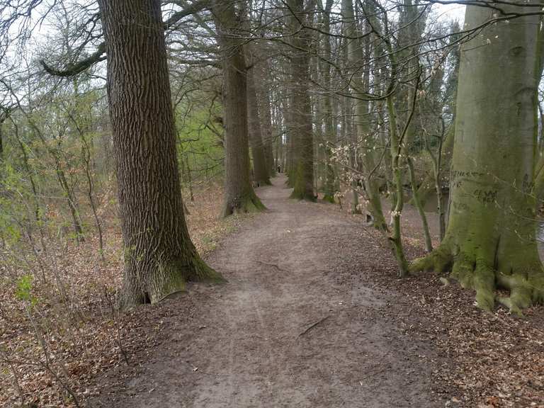 Lutter Wald NordrheinWestfalen, Deutschland Radtouren