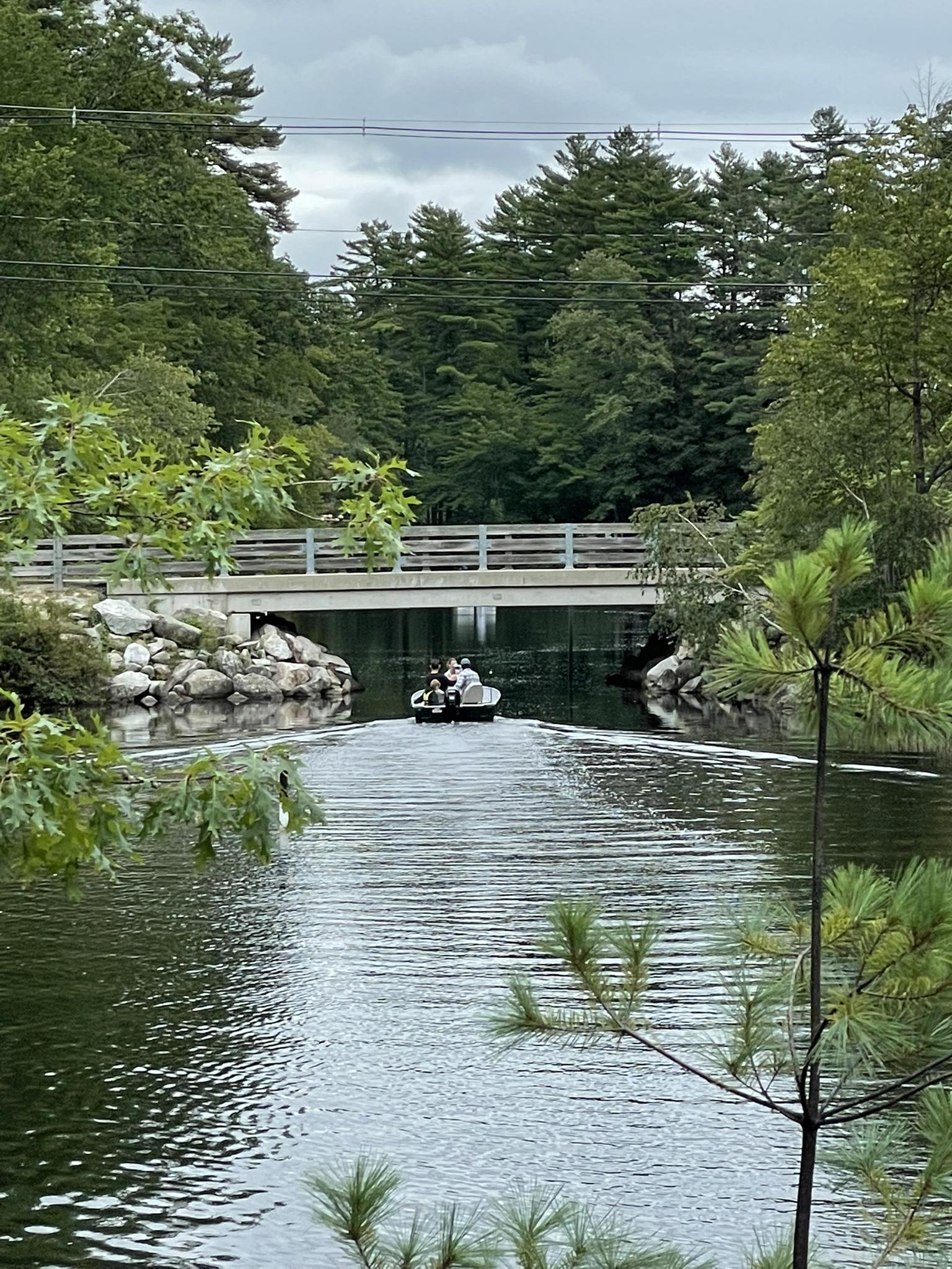 People in a pedal boat on calm water, with a bridge and trees.