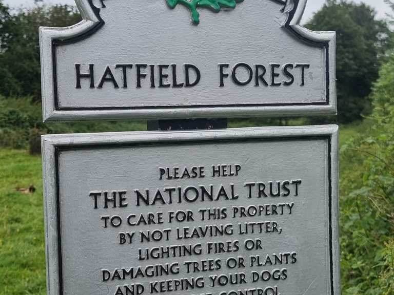 are dogs allowed in hatfield forest