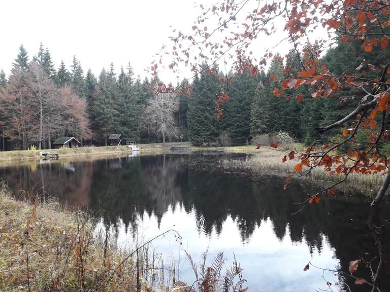 Am Schwarzen Teich Wanderungen und Rundwege komoot