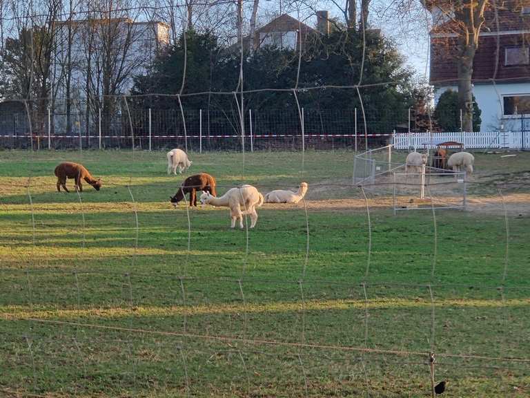 Pause direkt an der Fulda Schleuse Wilhelmshausen⛴️ Runde von