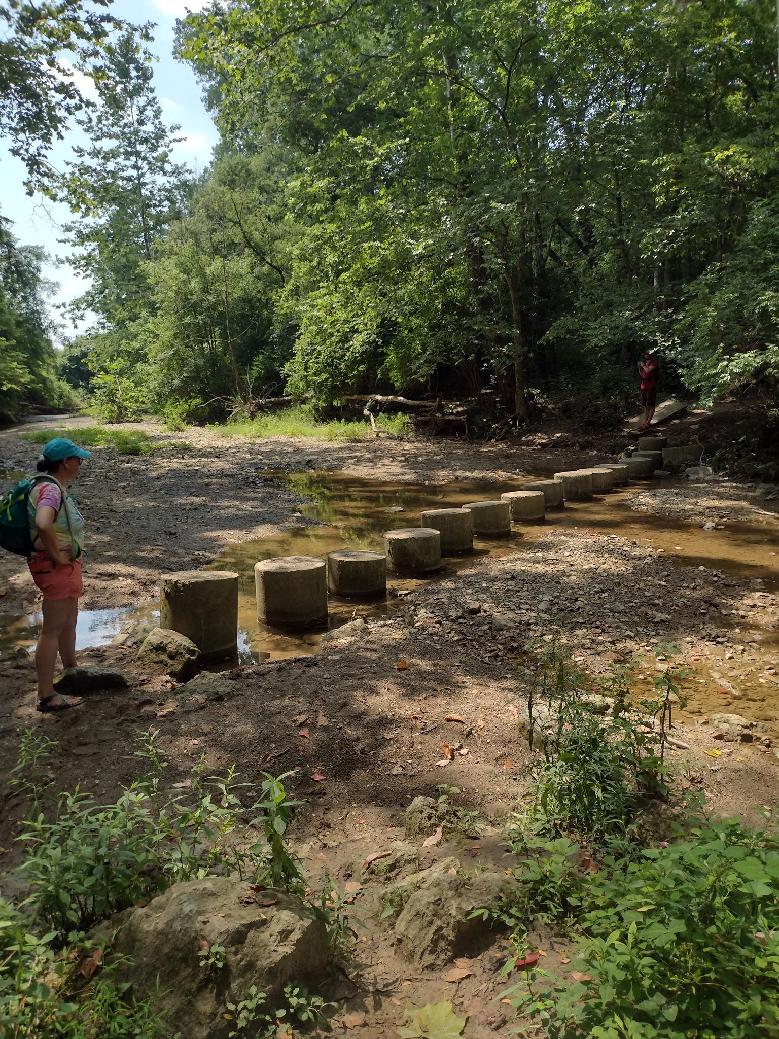 Person by stepping stones across a shallow stream in a sunny, wooded area.
