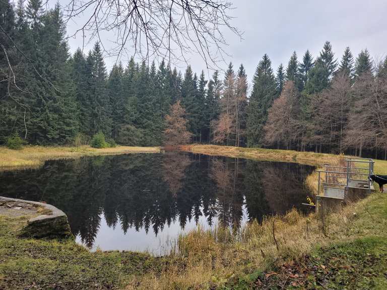 Am Schwarzen Teich Wanderungen und Rundwege komoot