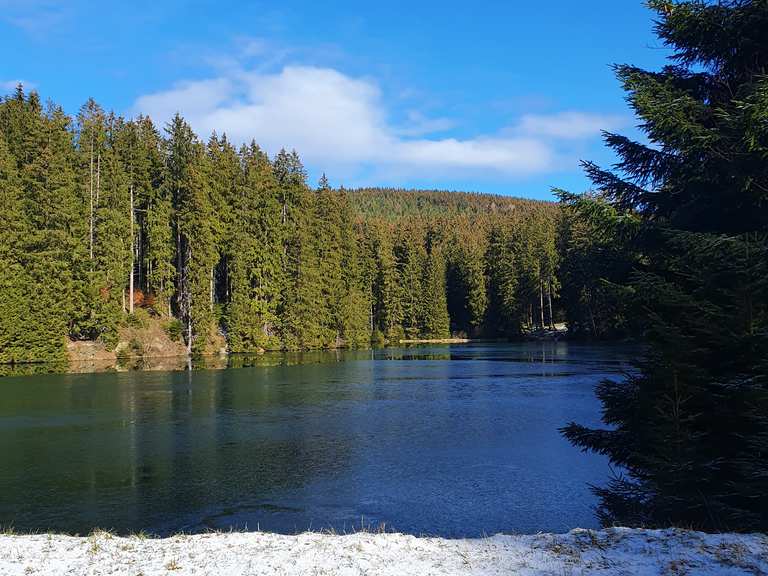Schalker Teich Wanderungen und Rundwege komoot