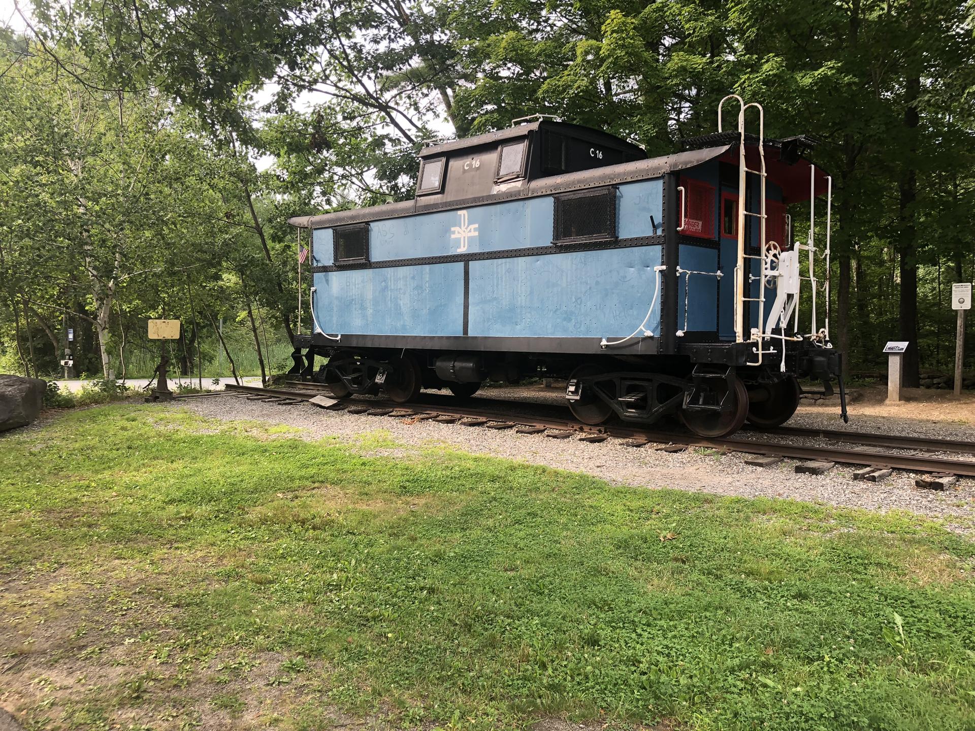 Blue and black train caboose on tracks, surrounded by green grass and trees.