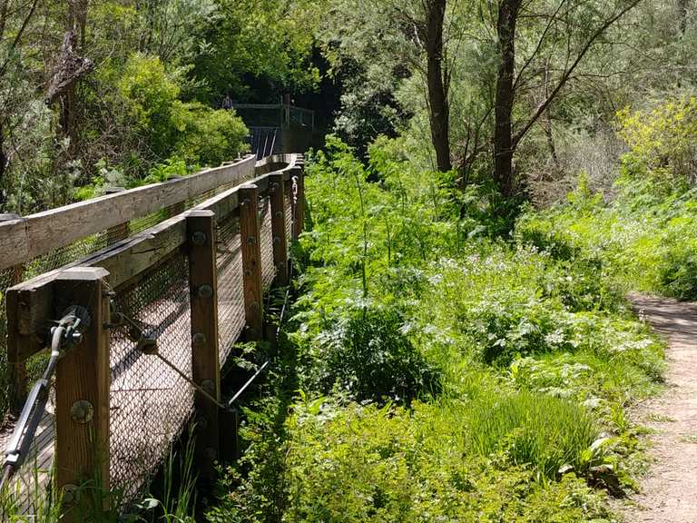 Bridge Walk, San Leandro Creek 🌲 Lake Chabot Regional Park ...