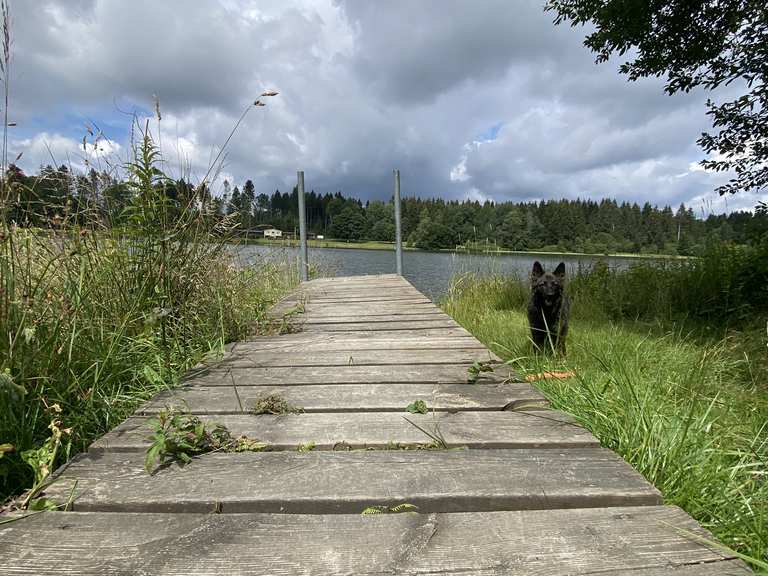 Oberer Hausherzberger Teich Wanderungen und Rundwege komoot