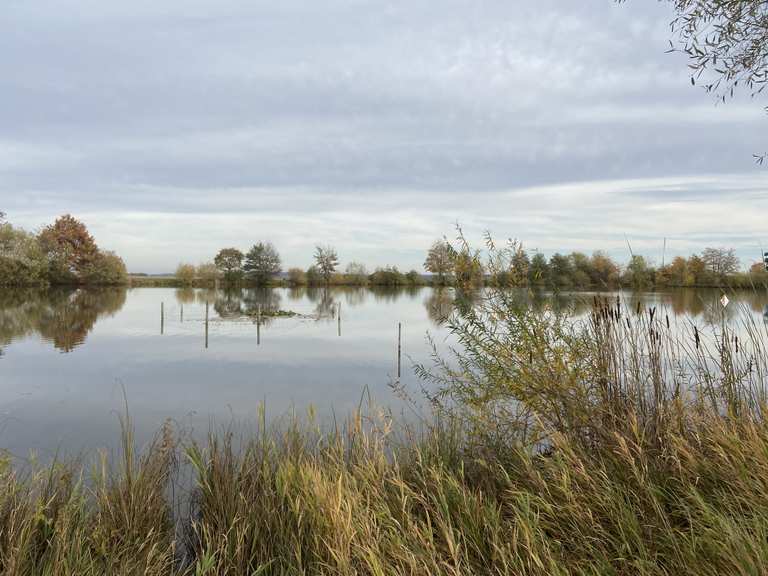Weidnerteich MountainbikeTouren und Trails komoot