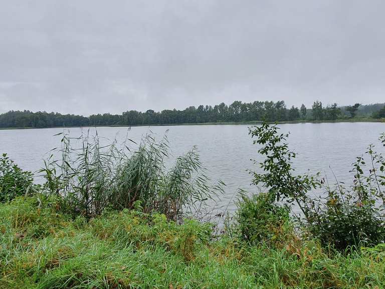 1000 Teiche Rundweg Wanderungen und Rundwege komoot