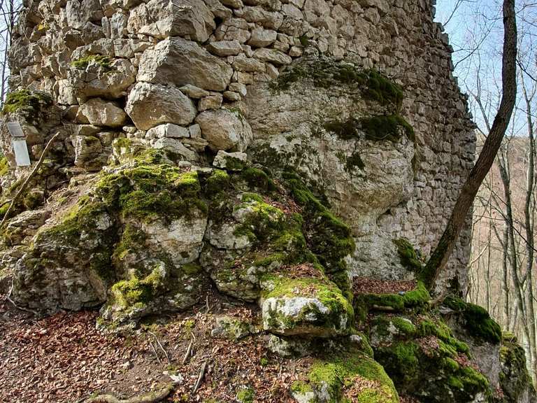 Ruine Ringelstein: Wanderungen und Rundwege | komoot