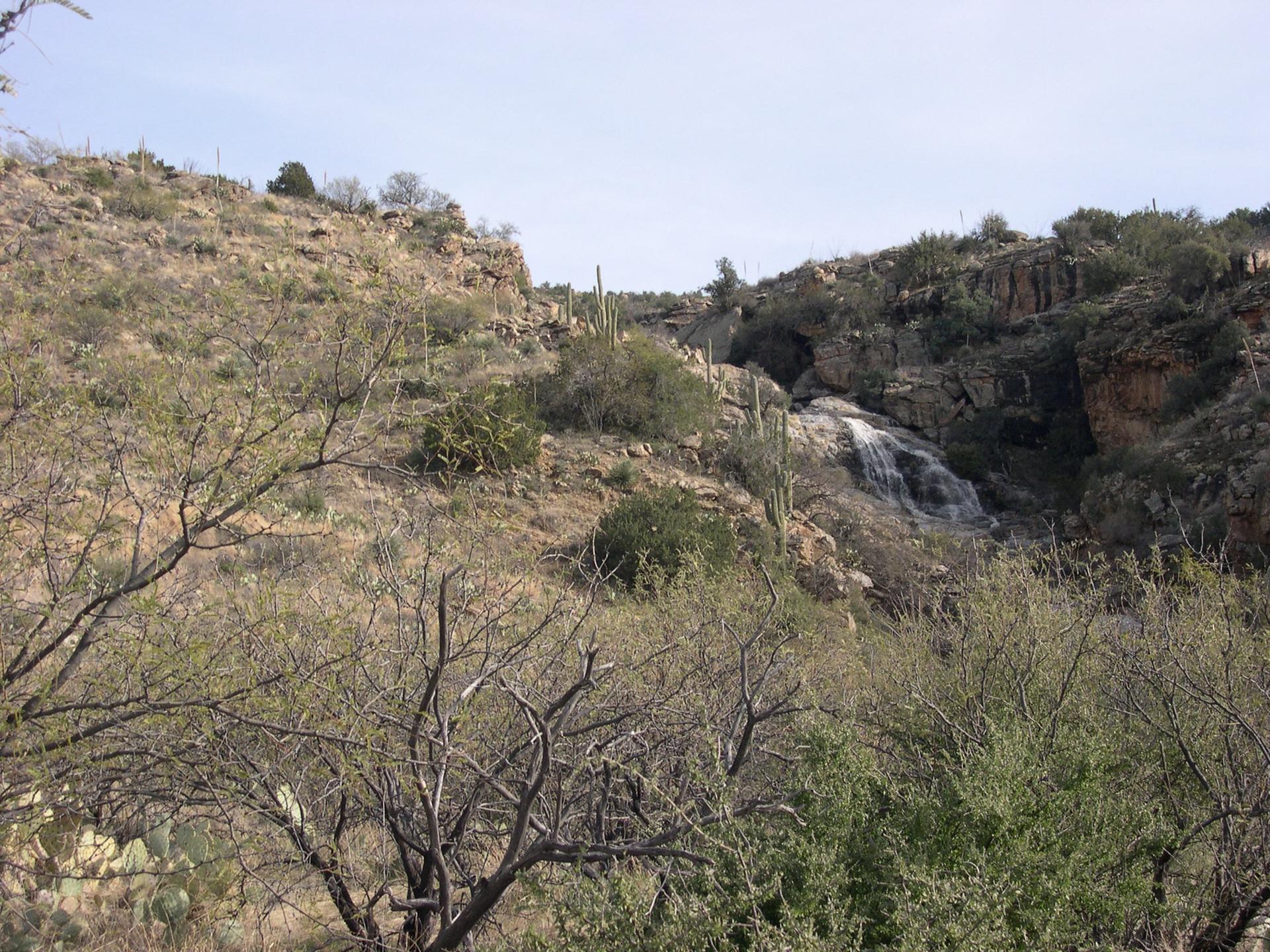 Waterfall cascades down a rocky, arid hillside with scattered cacti and shrubs.