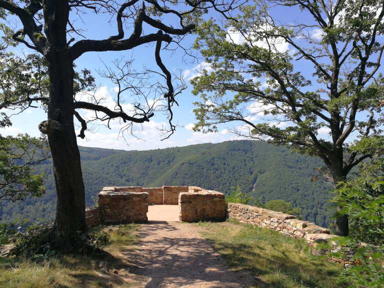 Niederwalddenkmal Blick auf Rüdesheim am Rhein Runde von Rüdesheim am