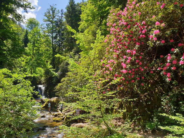 Geroldsauer Wasserfall  Wander- & Radrouten | Komoot