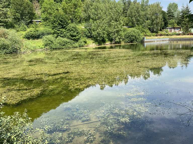 Teichtal Hainrode (Touringen Stempelstelle Nr. 100) Radtouren und