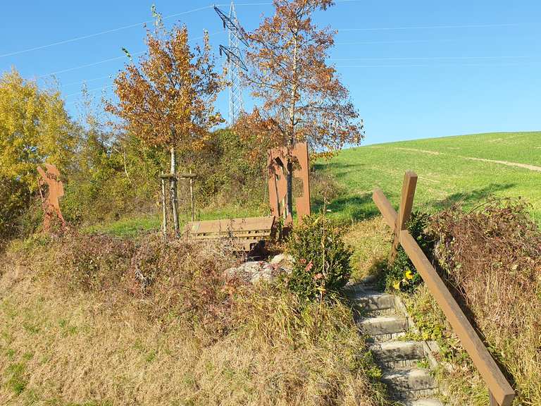 Gaststätte „Krone“ – Beobachtungshütte Runde von Raderach | Wanderung