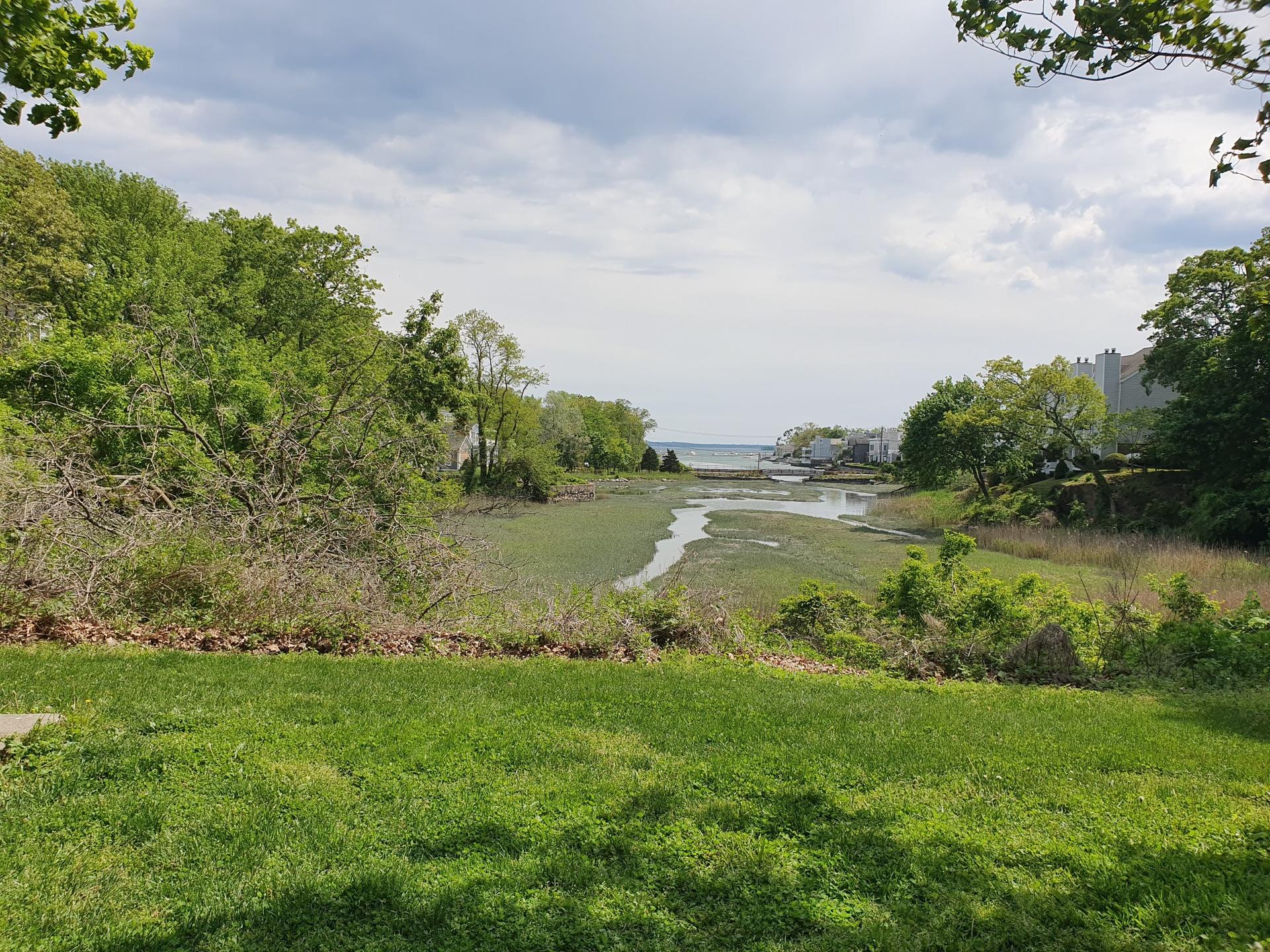 Grassy foreground overlooking a tidal marsh leading to the ocean under cloudy skies.