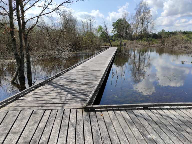 NaturThemenPark Bad Saulgau – Steg im Natur- Themenpark Runde von Bad ...