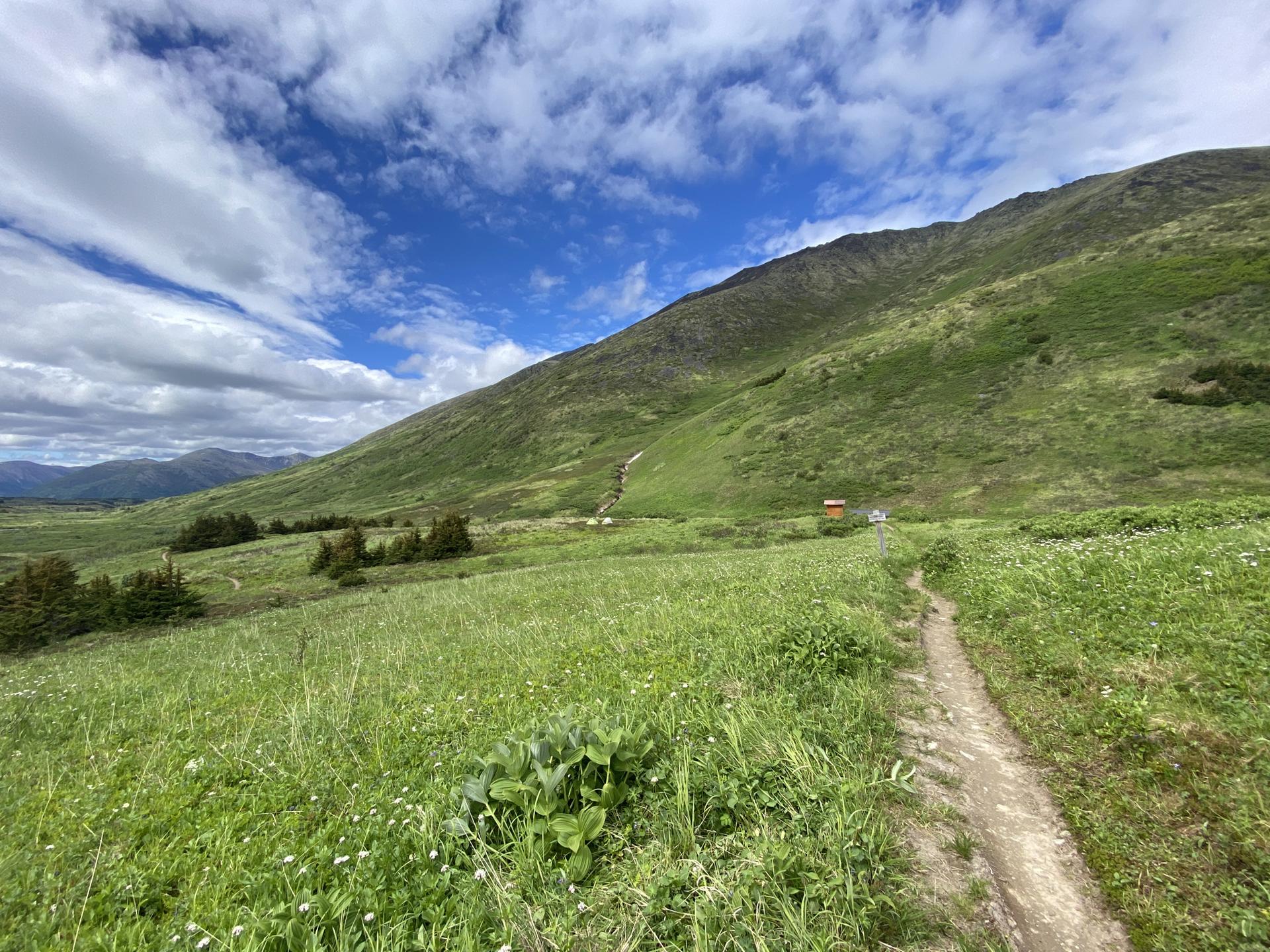 A narrow dirt path leads through a bright green, grassy mountain landscape.