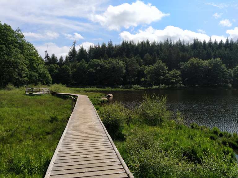 LapradeBasse Entre forêts et tourbières boucle au départ du lac de
