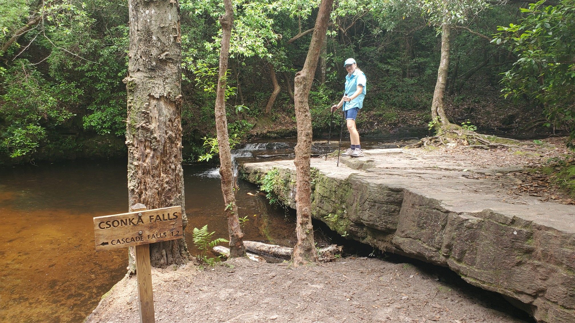 A hiker with poles stands on a rock ledge beside a forest stream. - Csonka Falls – Cascade Falls loop from WJSP Picnic Site