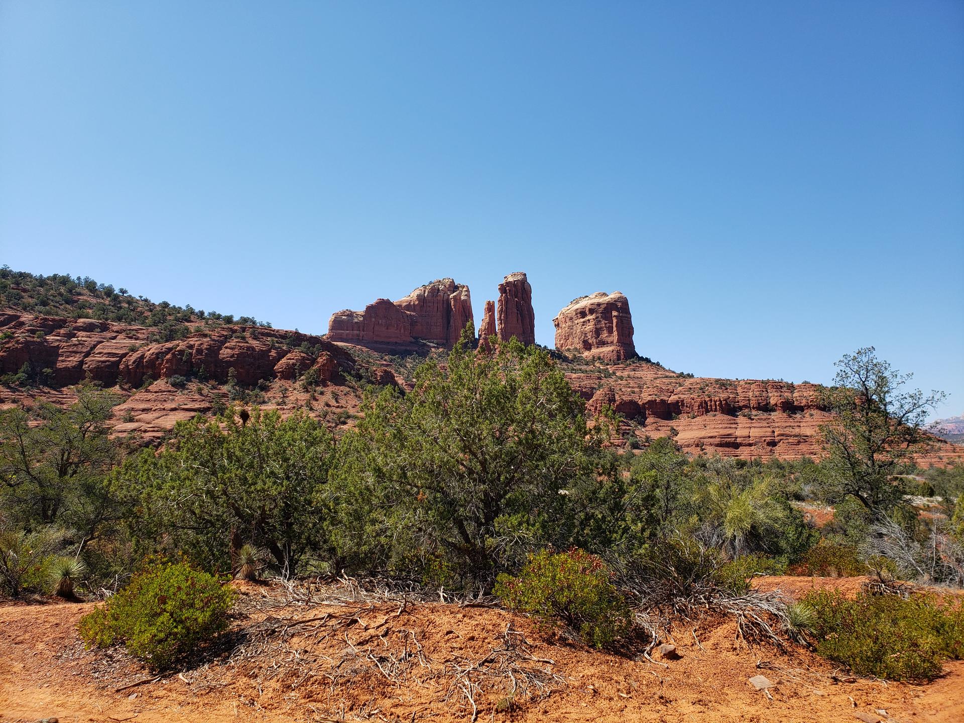 Red rock formations rise above green desert bushes under a clear blue sky.
