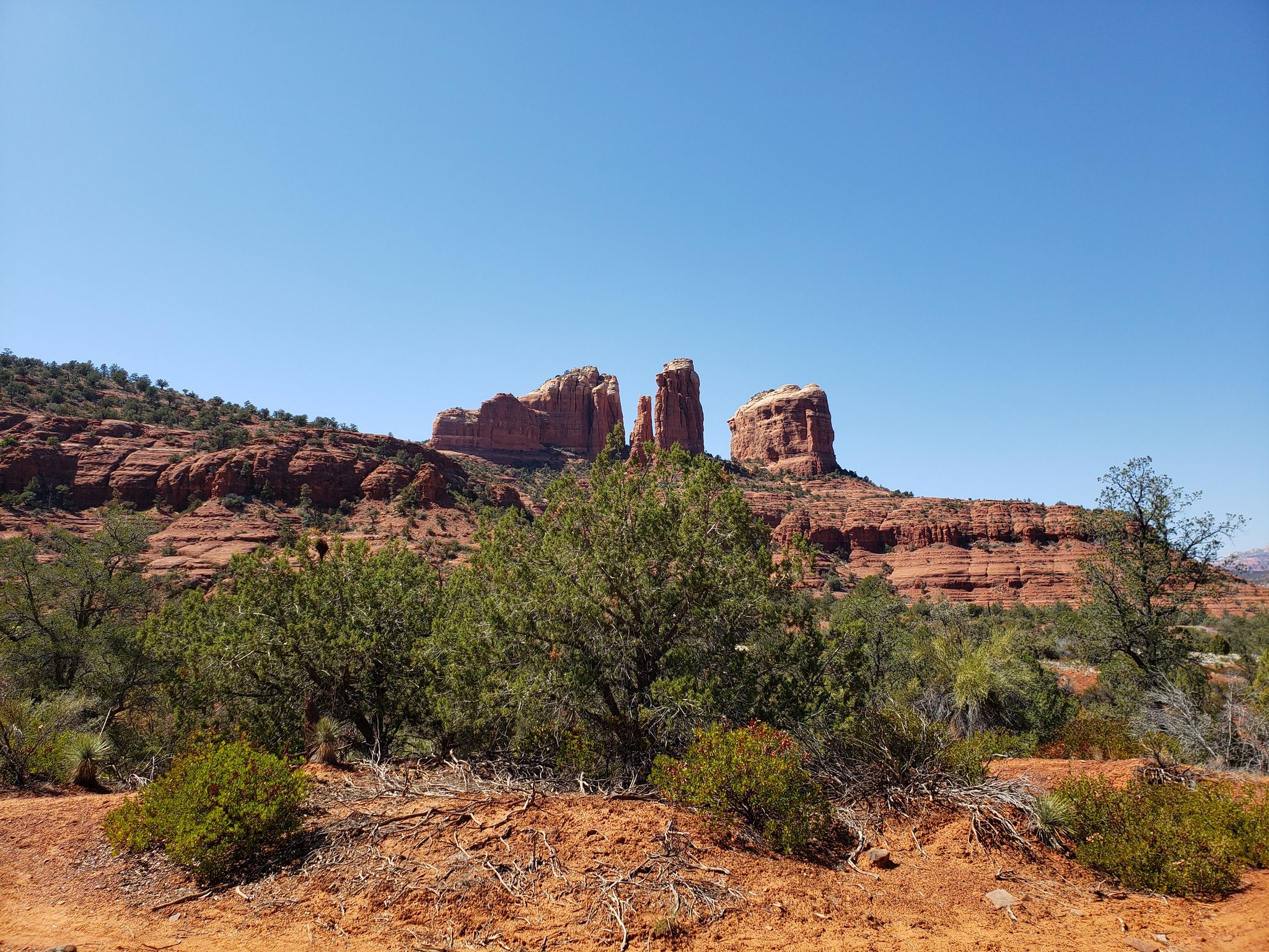 Red rock formations rise above green desert bushes under a clear blue sky. - Cathedral Rock Mountain Bike Loop