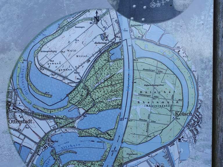 13 Die Rheinbegradigung bei Ketsch Wanderungen und Rundwege komoot