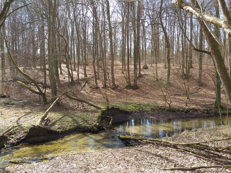 Hellmühler Fließ Blick auf den Hellsee Runde von Lobetal Wanderung Komoot